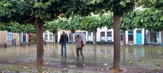 Regen en wind 