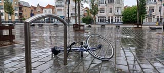 Regen en veel wind 
