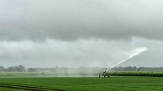 Beregenen en met een beetje regen mee