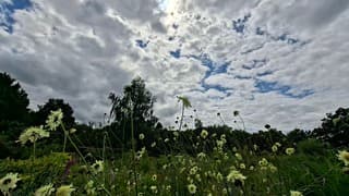 Zon breekt weer door