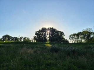 Zonnige avond 