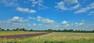 Mooi wolkendagje met veel wind 