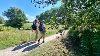 Prima dag voor een wandeling in het Markdal 