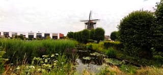 De molen Salamander