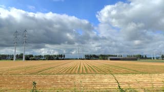 vlas ligt te roten op het veld 