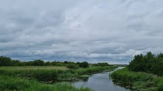 Zomerdip in de kop van Drenthe