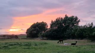Avondschouwspel boven Texel 
