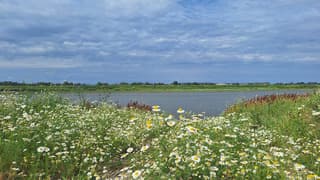 in de middag zon en meer bewolking