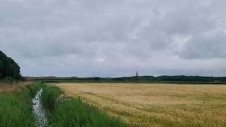 Bewolking overheerst boven Texel vanmiddag 