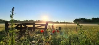 Zon en grondmist in Velsen Zuid 