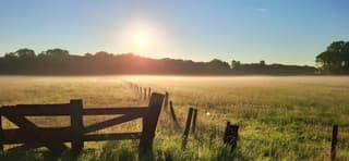 Grondmist in Velsen vanmorgen vroeg 