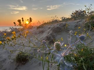 Wijk aan Zee
