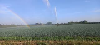 Regenboog bij heldere hemel.