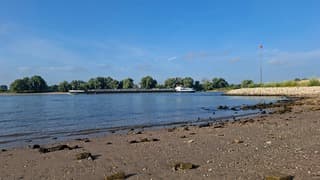 De Waal bij Slijk-Ewijk...