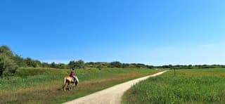 Zomer op Schiermonnikoog 