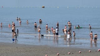 strandweer