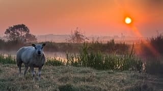 Mistige zonsopkomst 