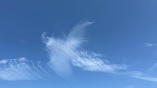 Federwind 