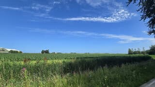 Mooi Hollands zomerweer