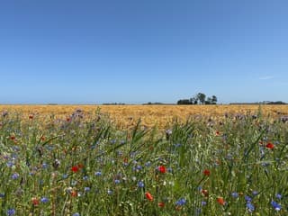 Mooie blauwe lucht