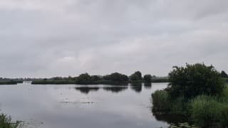 Zomer in de kop van Drenthe