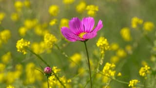 Zo mooi in de natuur