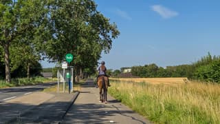 Vanmorgen heerlijk paardrijweer