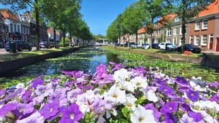 Strak blauwe lucht