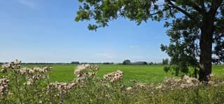 Mooie opklaringen boven de Groninger landerijen 