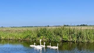 Zonnige zomerdag