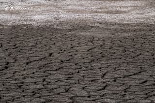 droogte