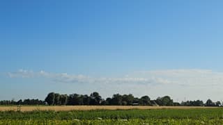 Weerfoto