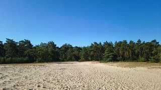 Blauwe hemel boven het Saharazand