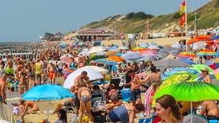 Stranddrukte 