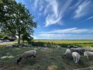 Heemskerk 