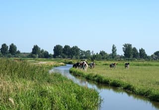 Zon in de polder