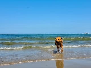 ..ohh..heerlijk zo n verfrissende duik in zee,ondanks dat de zee ook best warm is..