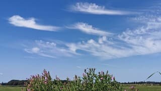 Windveren begin middag 