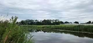 Bewolking boven de provincie Groningen vanmiddag 