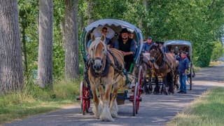 Warm en zonnig tijdens de Boerenlandrit