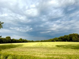 Dreigende wolken boven zonovergoten weiland