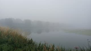 Mist