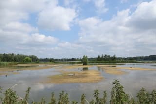 Waterrijk 