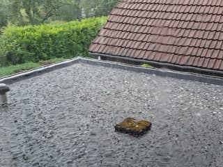 12 mm. in een half uurtje.