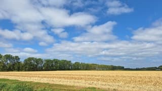 Hollandse wolkenluchten