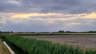 Winderig en bewolkt op Texel 