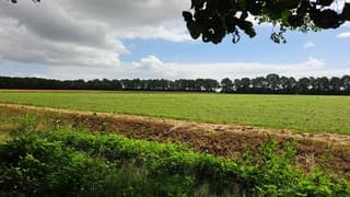 Zon en wolken 