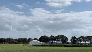 Droogte