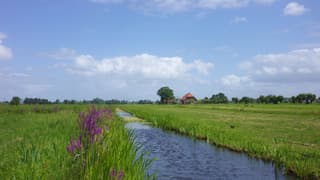 Zon en wolken in een fraai polderlandschap
