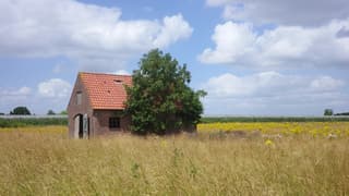 Zon, wolken en een prachtig zomers landschap